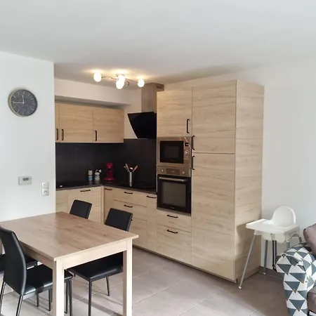 Apartment Grand Avec Garage Et Terrasse