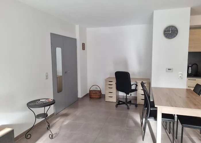 Appartement Grand Avec Garage Et Terrasse