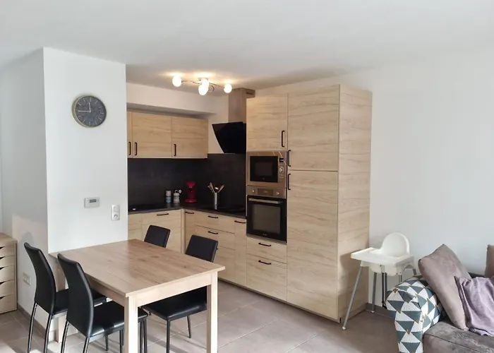 Apartament Grand Avec Garage Et Terrasse